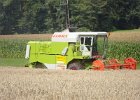 Claas Drescher 43